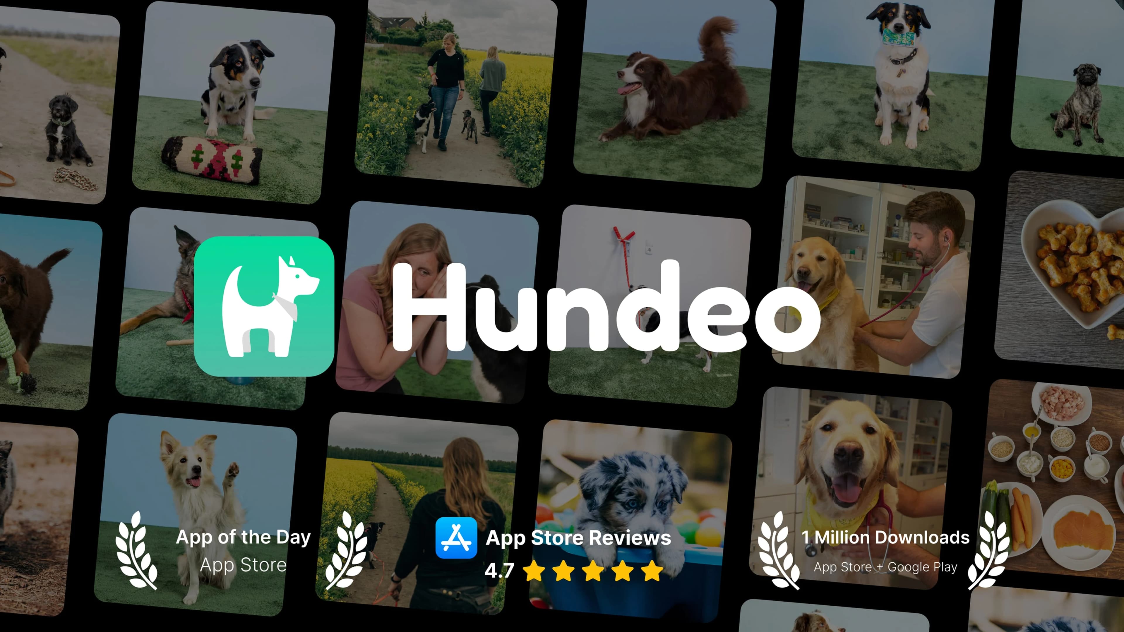 Hundeo App Banner